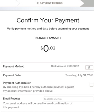 Step 7a Online Bill Process - Confirm Payment